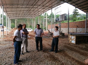 永福县大力推进农产品产地初加工设施补助项目，为乡村振兴注入新动能