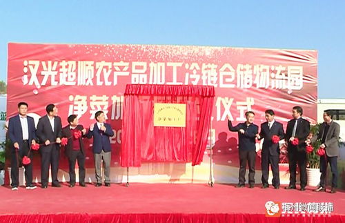 五华农产品冷链仓储物流园净菜加工厂投产，助推农产品初加工服务升级