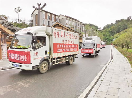 贵州省商务厅出台22条措施 以“四新”引领“四化” 聚焦农产品初加工服务