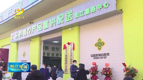 广东供销农产品直供配送阳江服务中心揭牌 直供2000余种产品 打造一体化服务新标杆